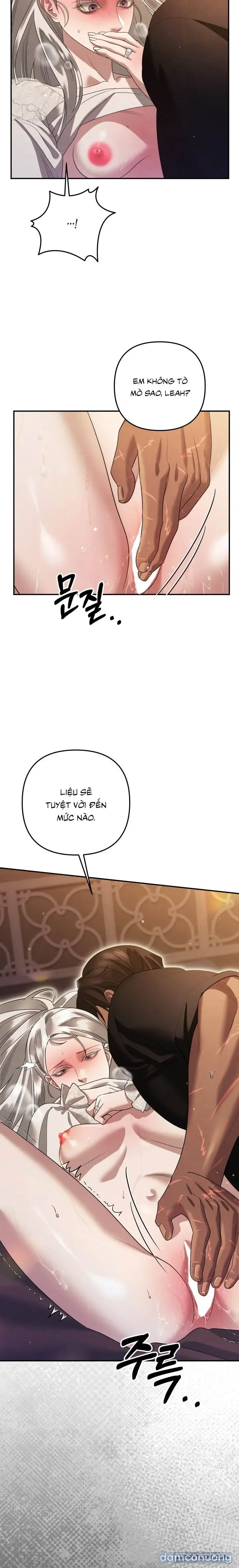 Cuộc Hôn Nhân Bị Cướp Đoạt 