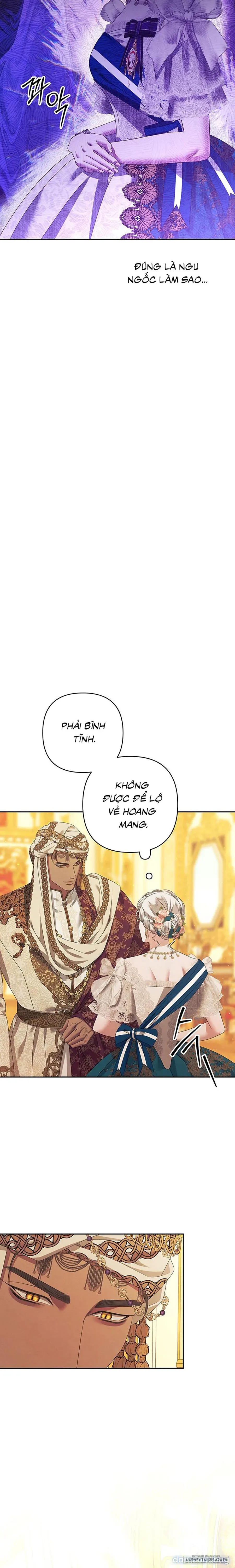 Cuộc Hôn Nhân Bị Cướp Đoạt 