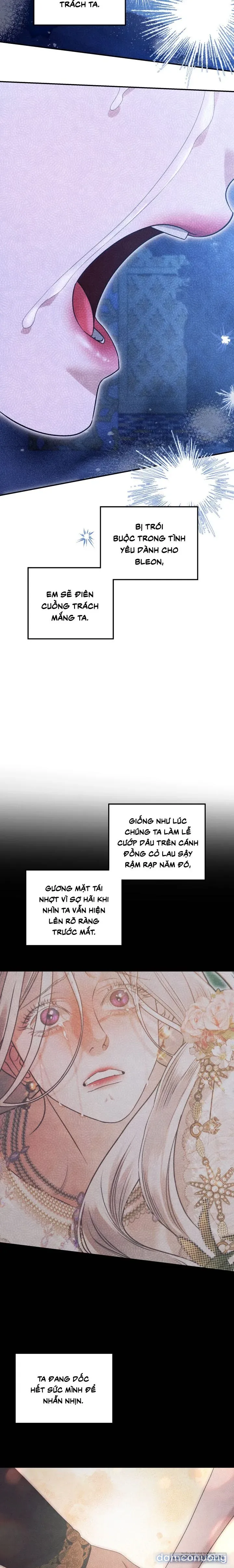 Cuộc Hôn Nhân Bị Cướp Đoạt 