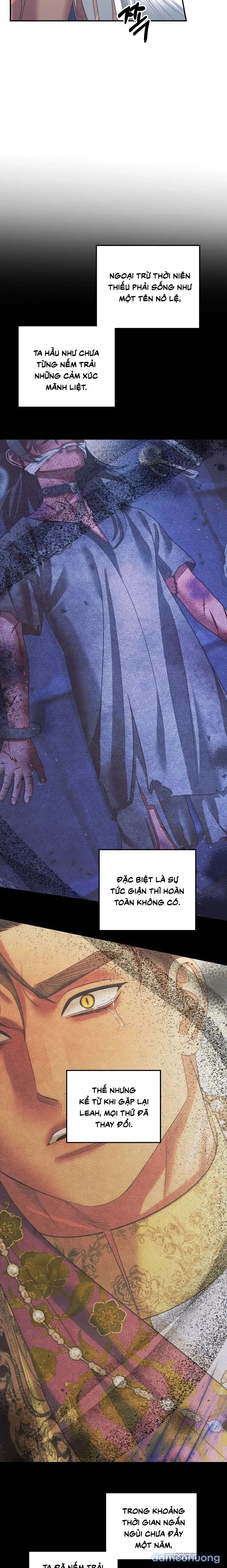 Cuộc Hôn Nhân Bị Cướp Đoạt 