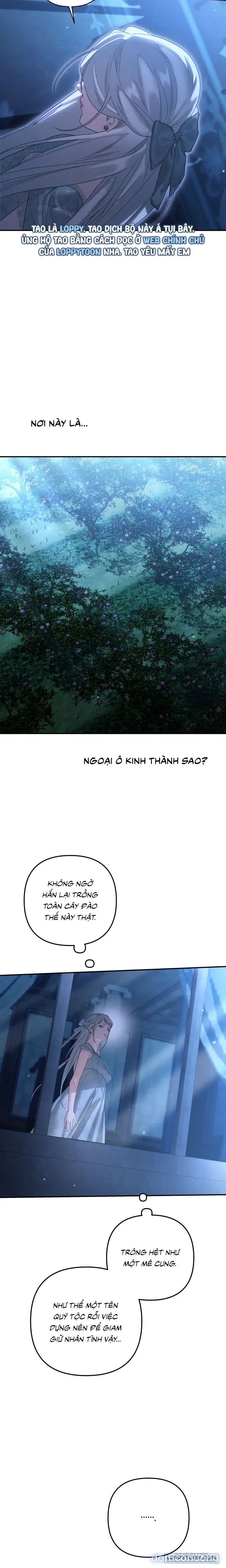 Cuộc Hôn Nhân Bị Cướp Đoạt 
