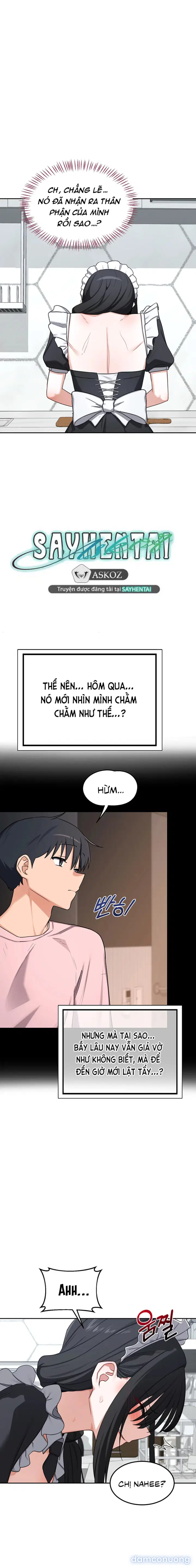 Kế hoạch trao đổi mẹ (sex only) 