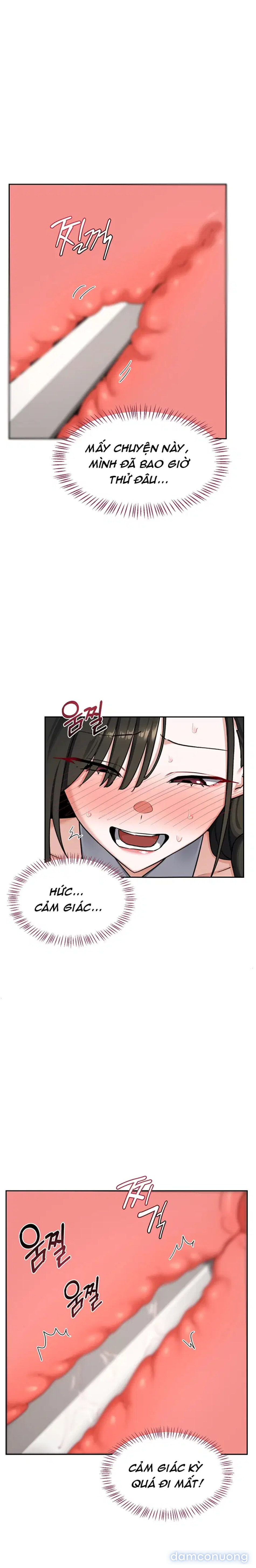 Kế hoạch trao đổi mẹ (sex only) 