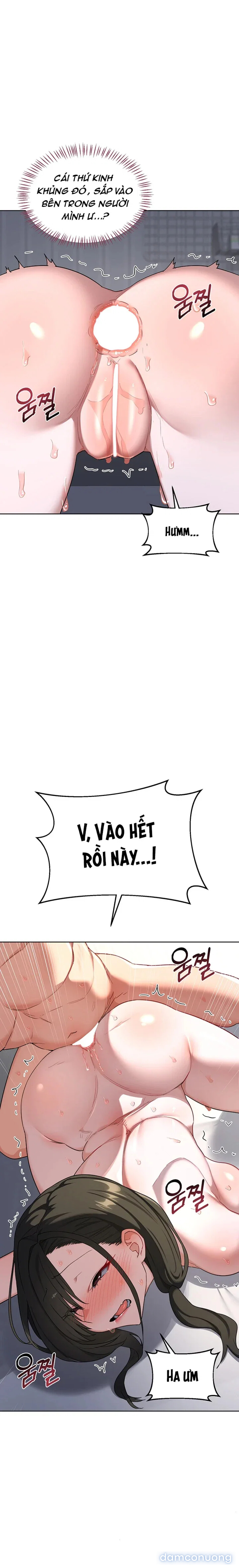 Kế hoạch trao đổi mẹ (sex only) 