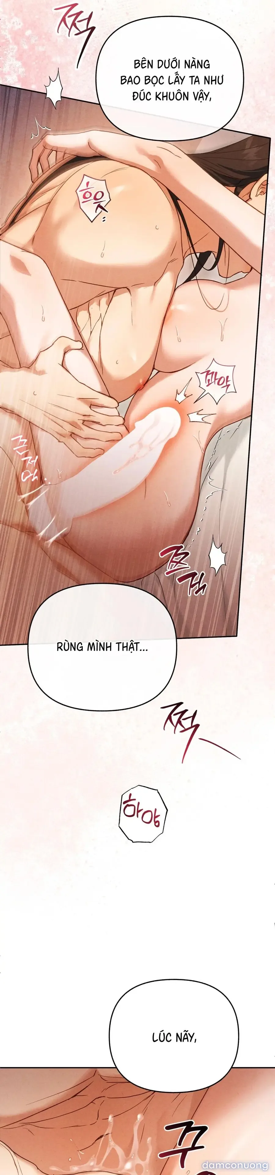 Phá Vỡ Cấm Kỵ 