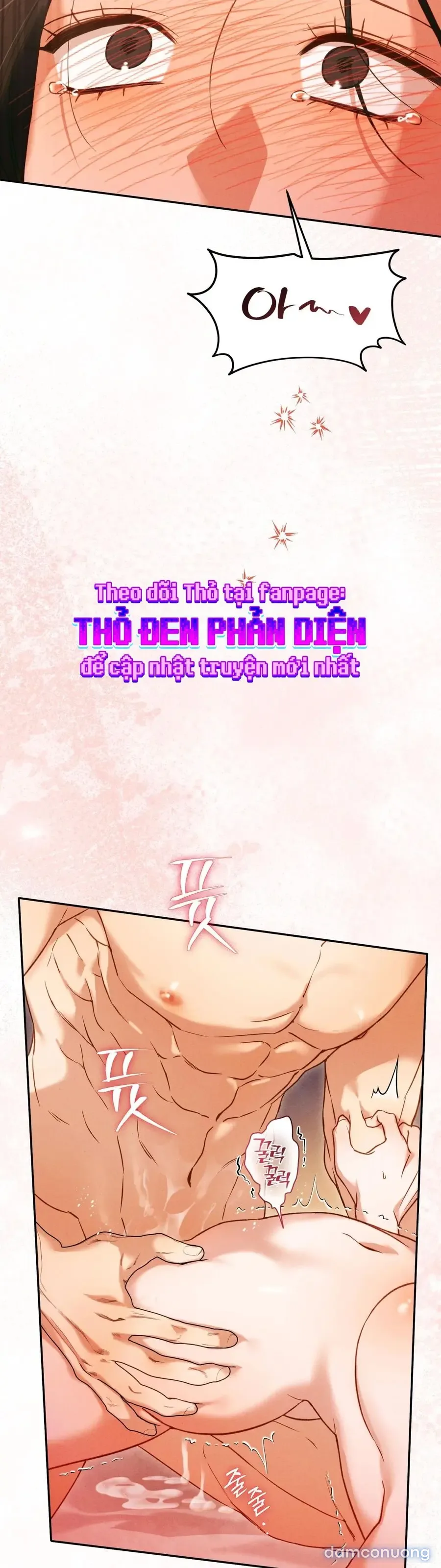 Phá Vỡ Cấm Kỵ 