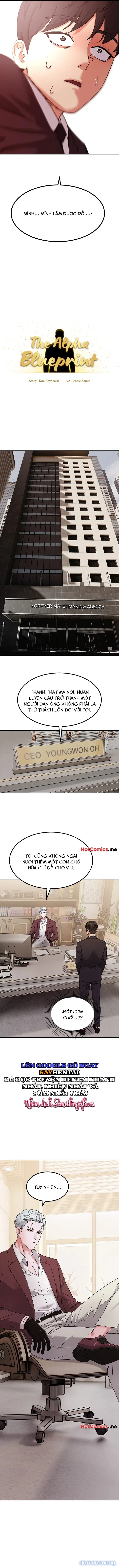 Mật Mã Alpha 