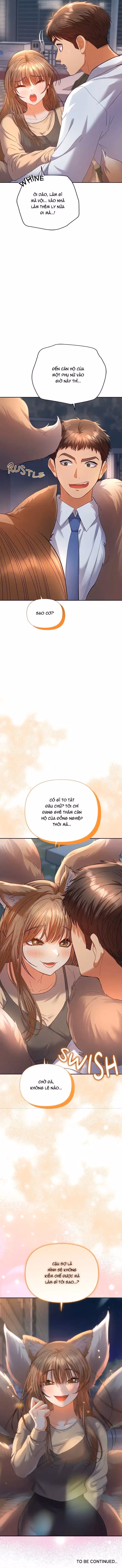 Người Đàn Ông Của Mọi Nhà 