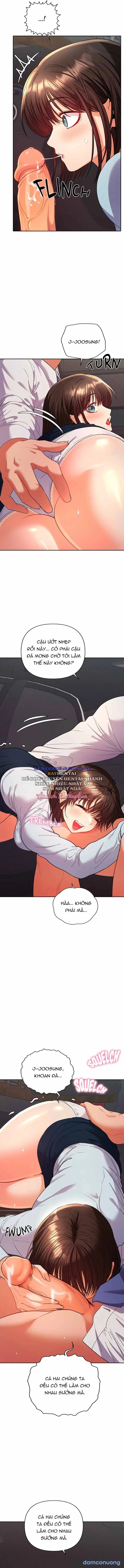 Người Đàn Ông Của Mọi Nhà 