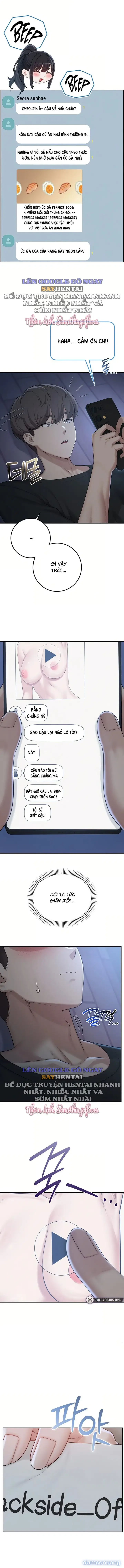 Cô Bạn Đại Học Damdang Của Tôi 