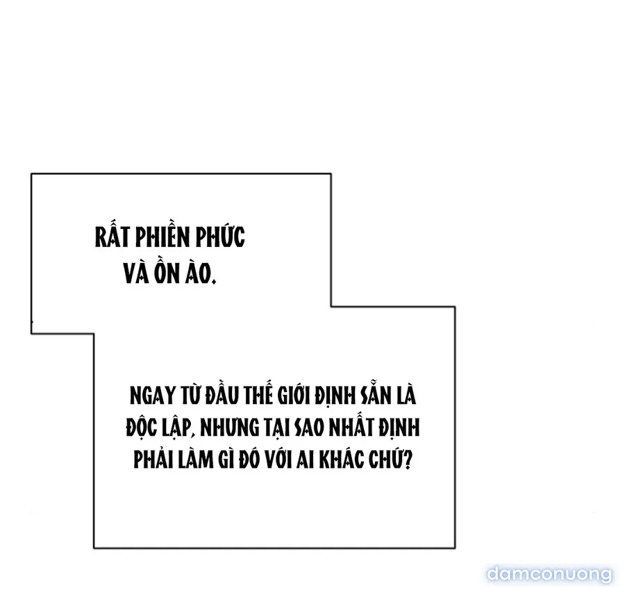 Bình Minh 