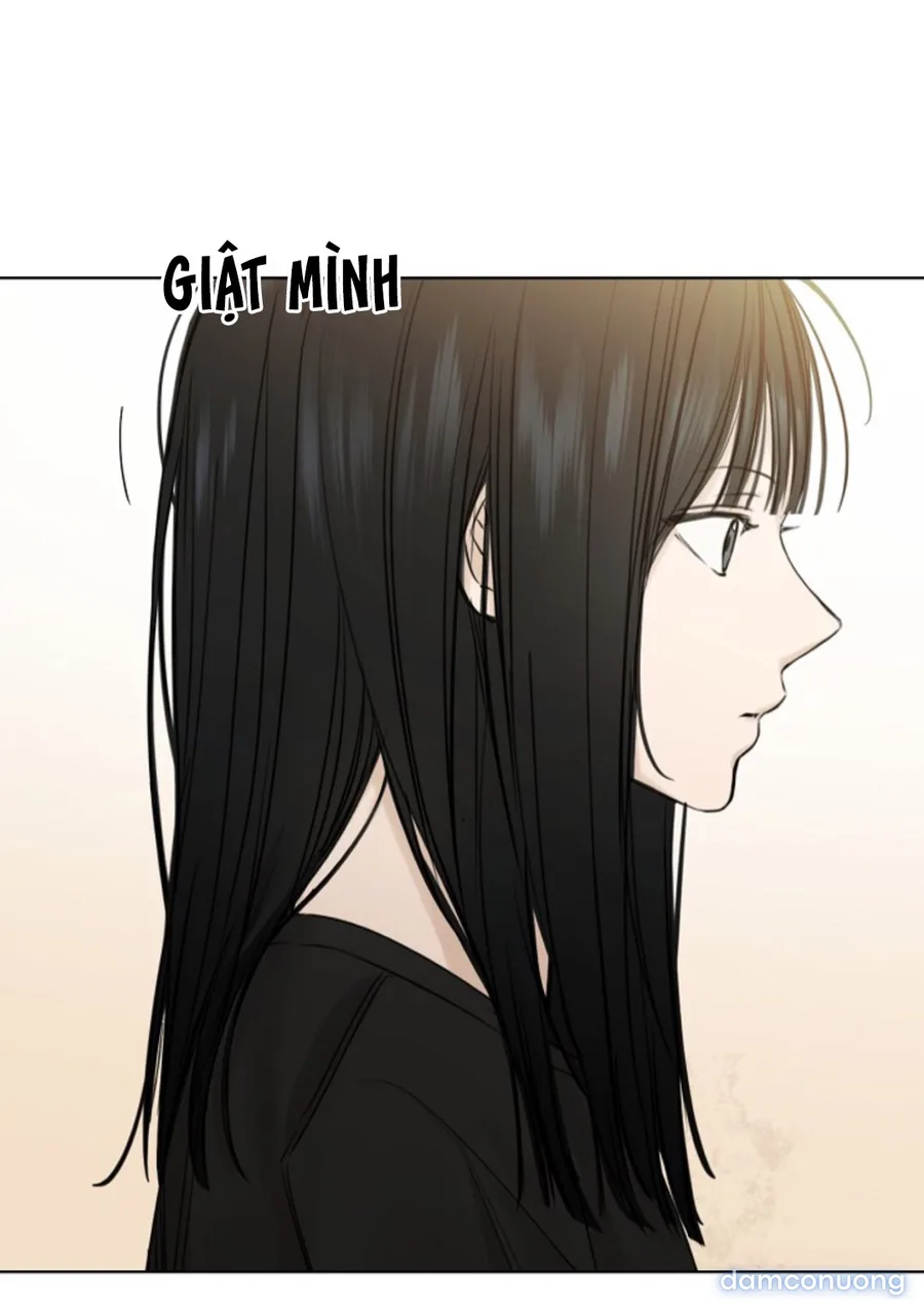 Bình Minh 