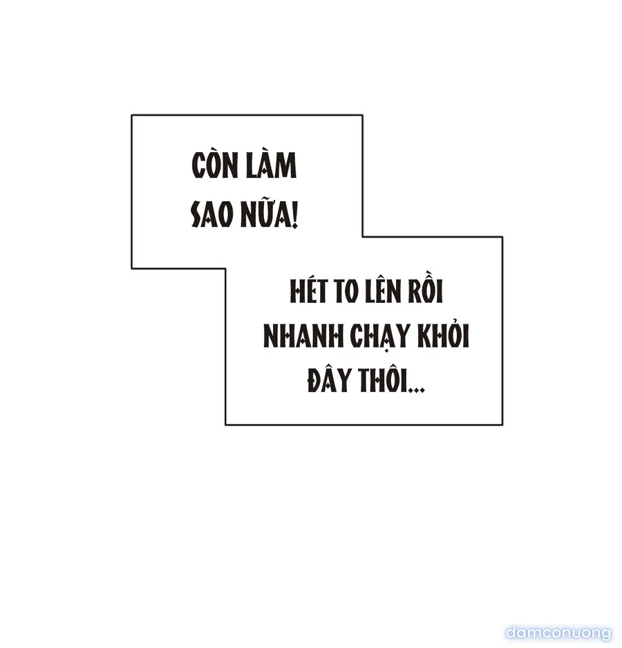 Bình Minh 