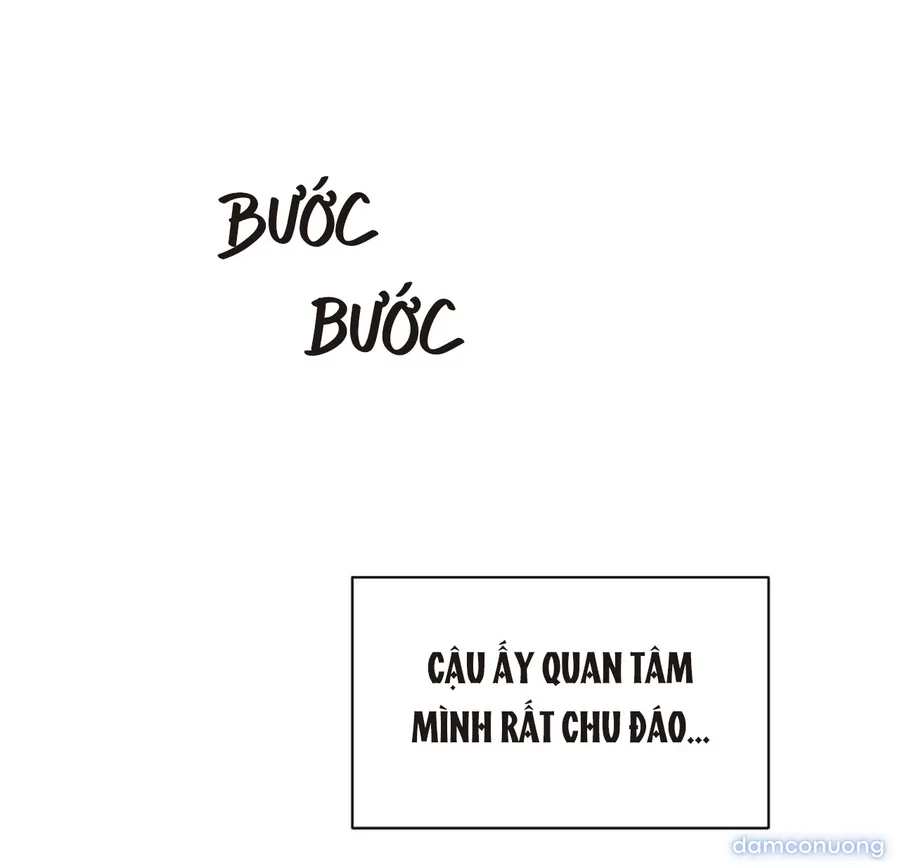 Bình Minh 