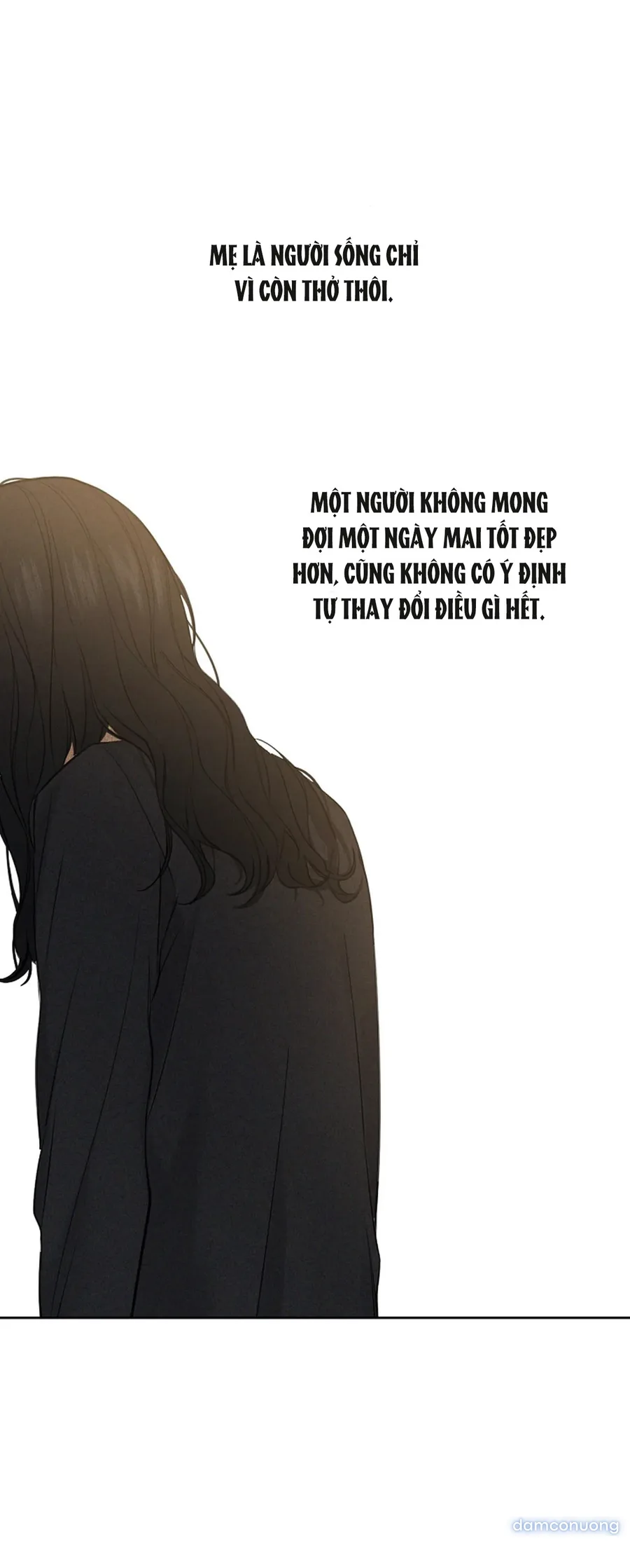 Bình Minh 