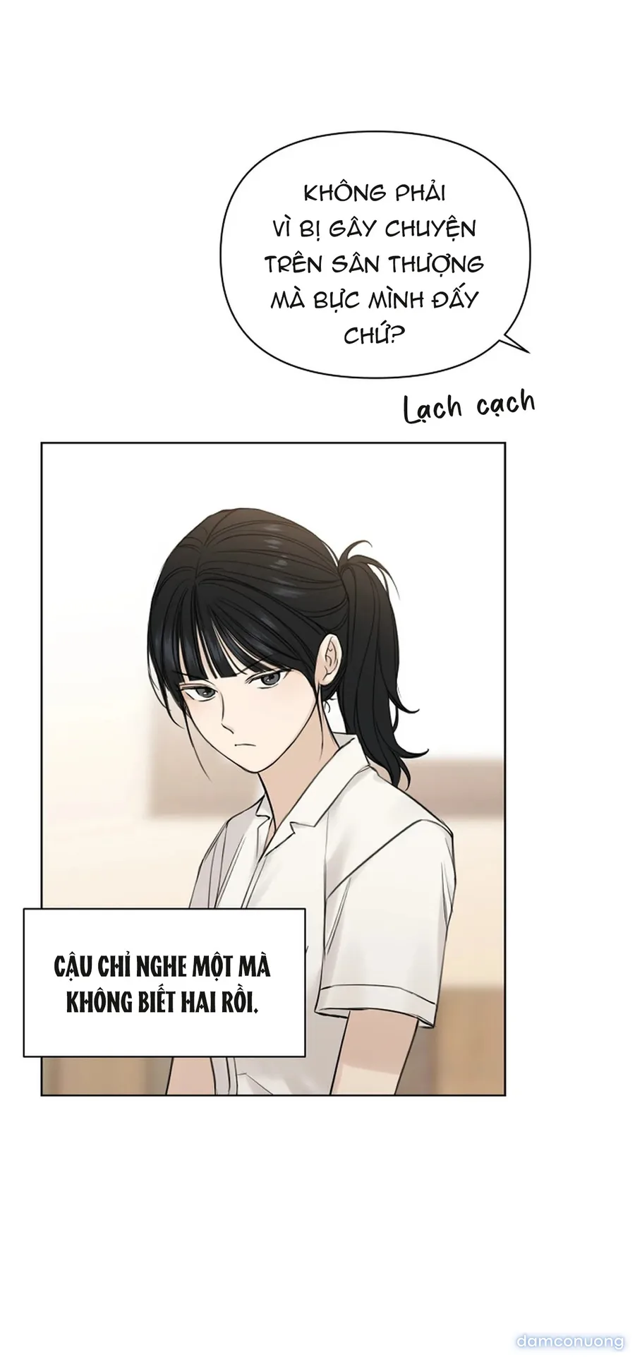 Bình Minh 