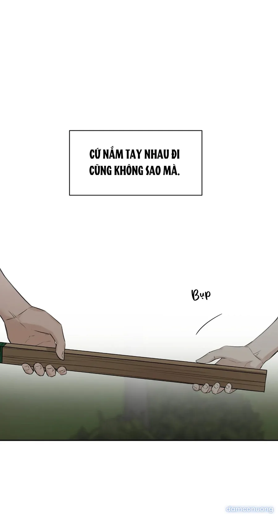 Bình Minh 