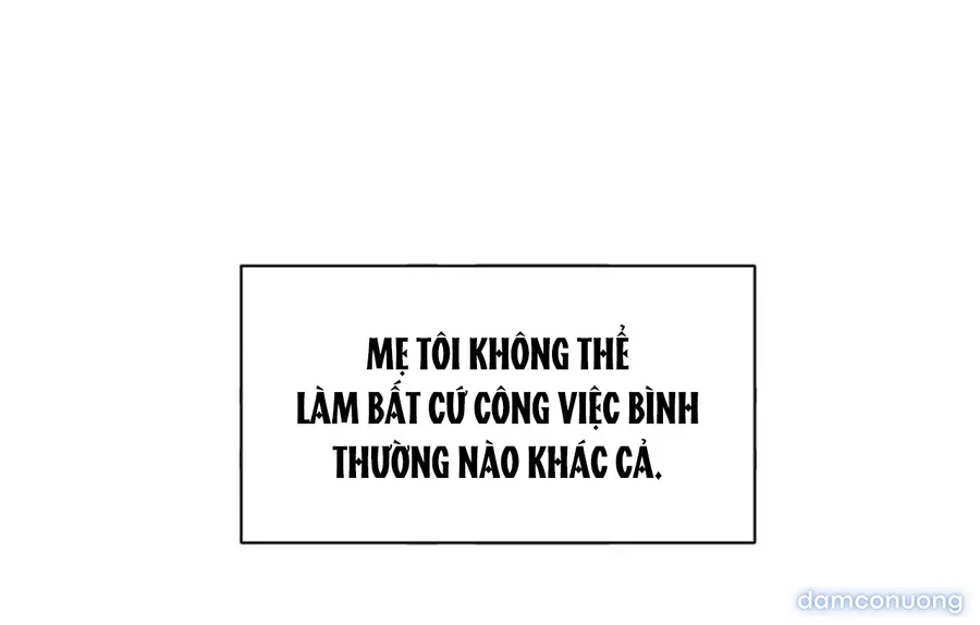 Bình Minh 