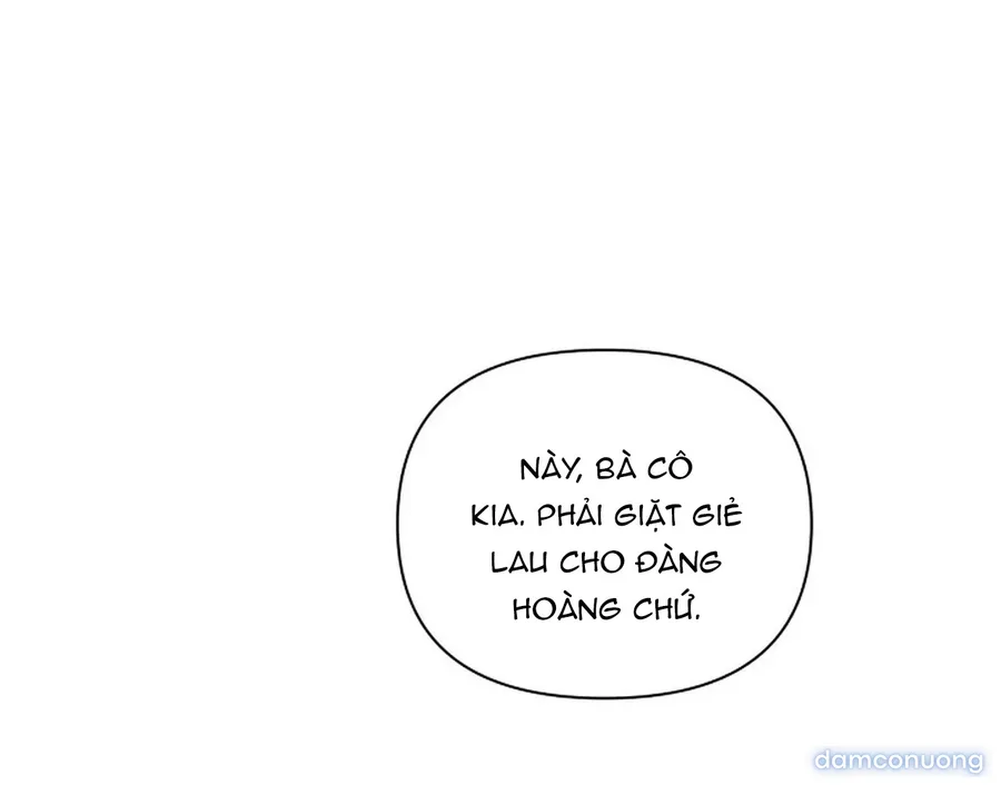 Bình Minh 