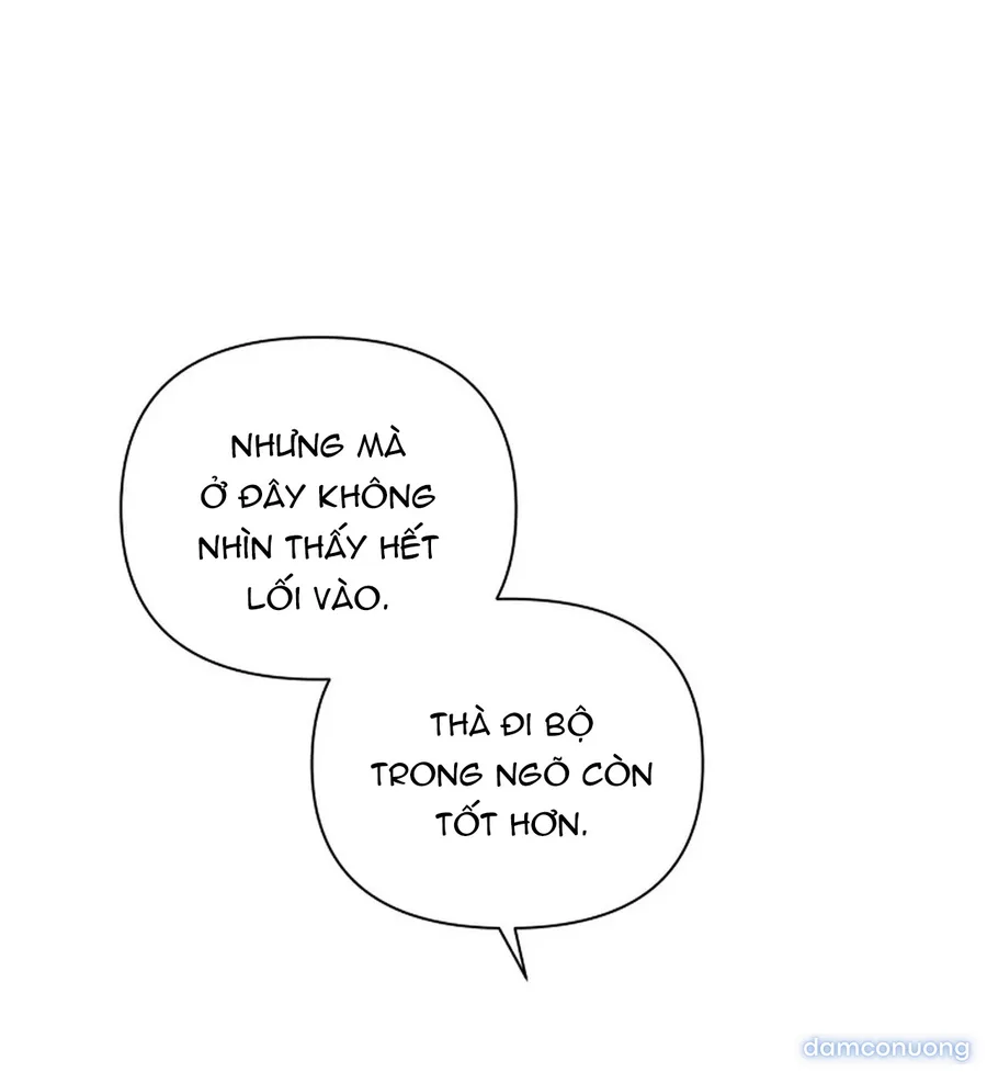 Bình Minh 