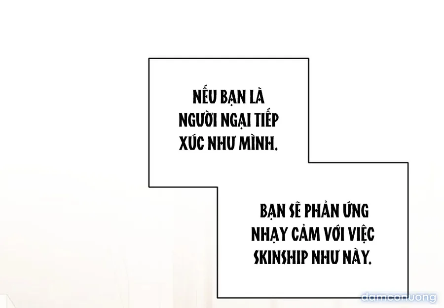 Bình Minh 