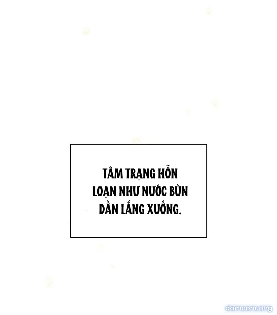 Bình Minh 