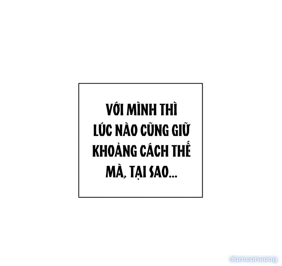 Bình Minh 
