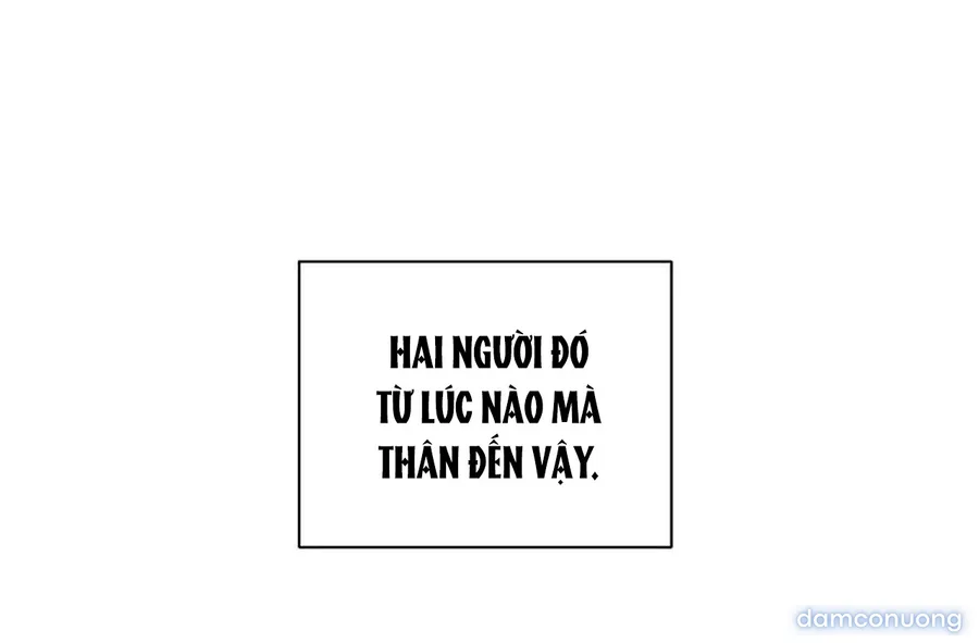 Bình Minh 