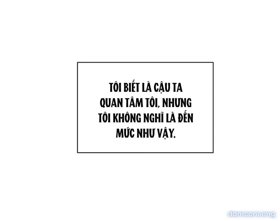 Bình Minh 