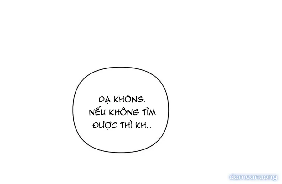 Bình Minh 