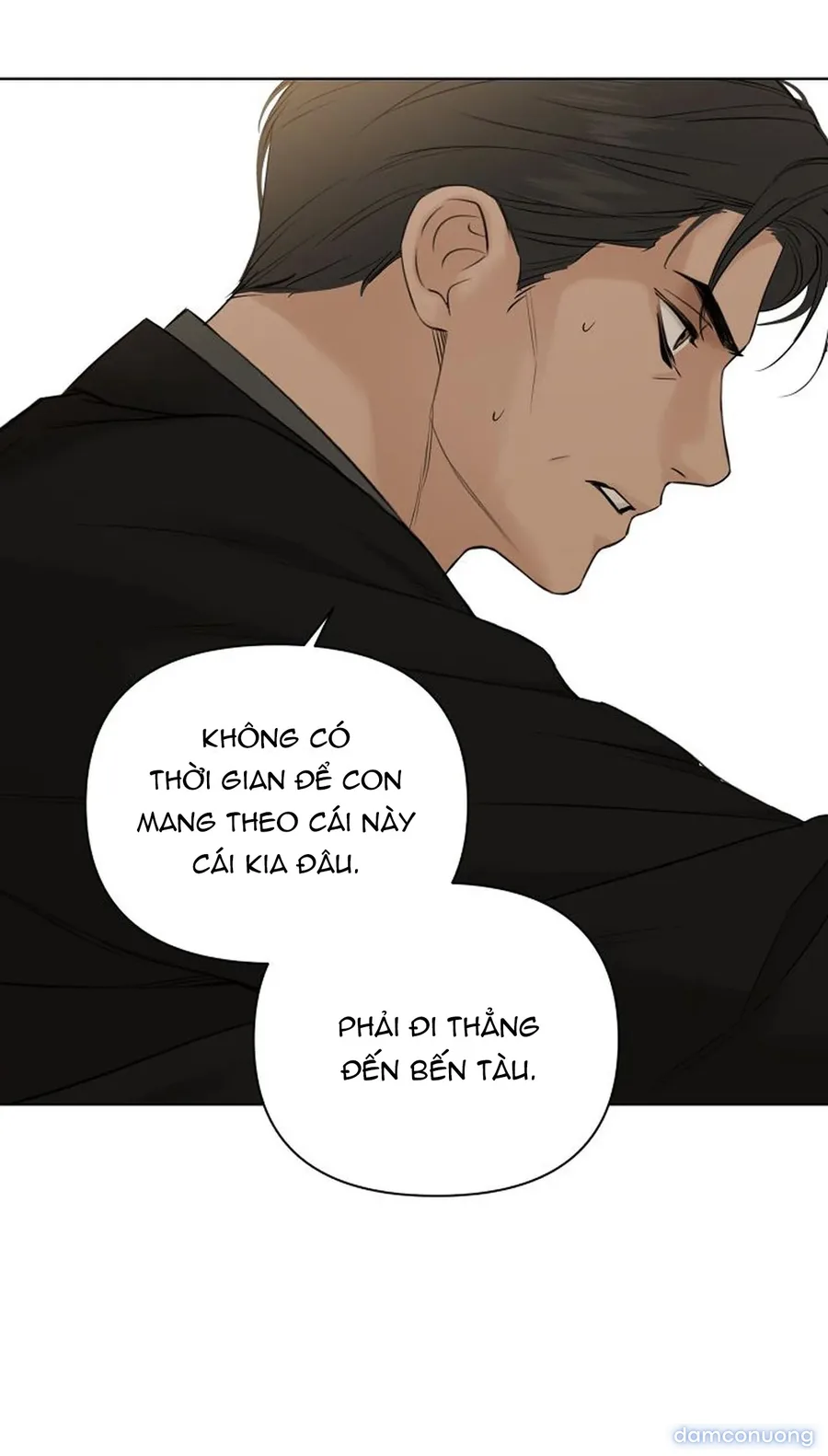 Bình Minh 