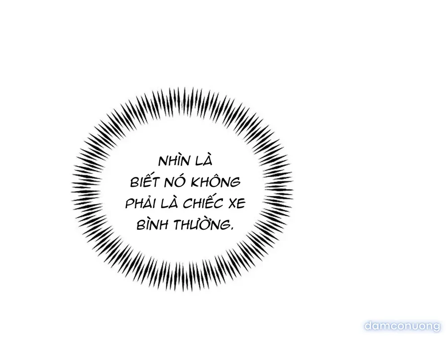 Bình Minh 