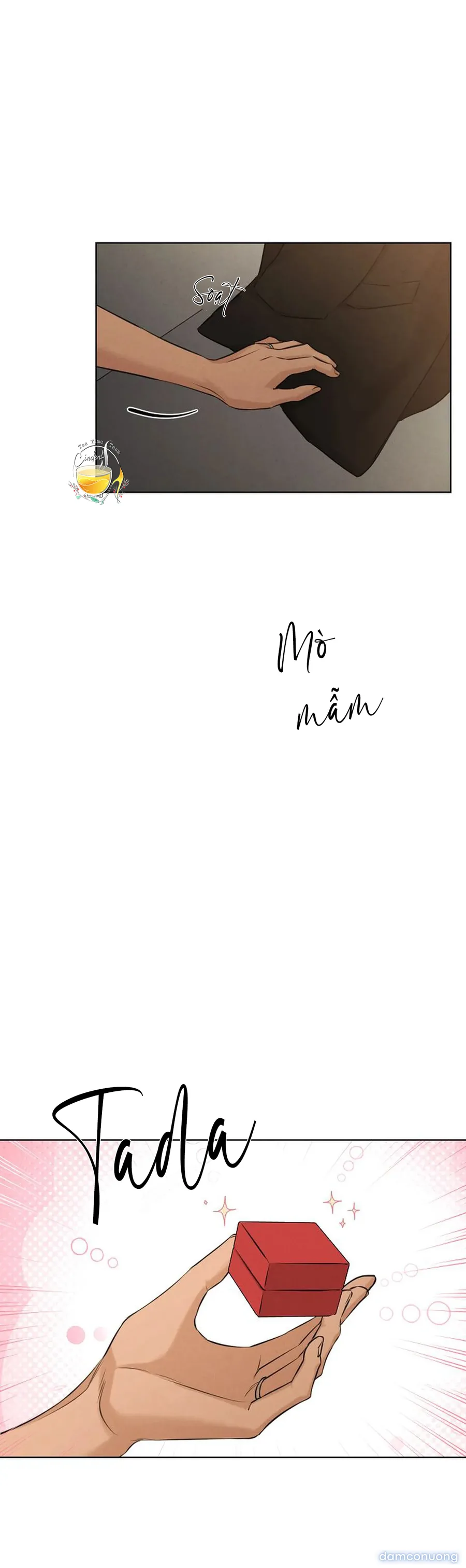 Bình Minh 