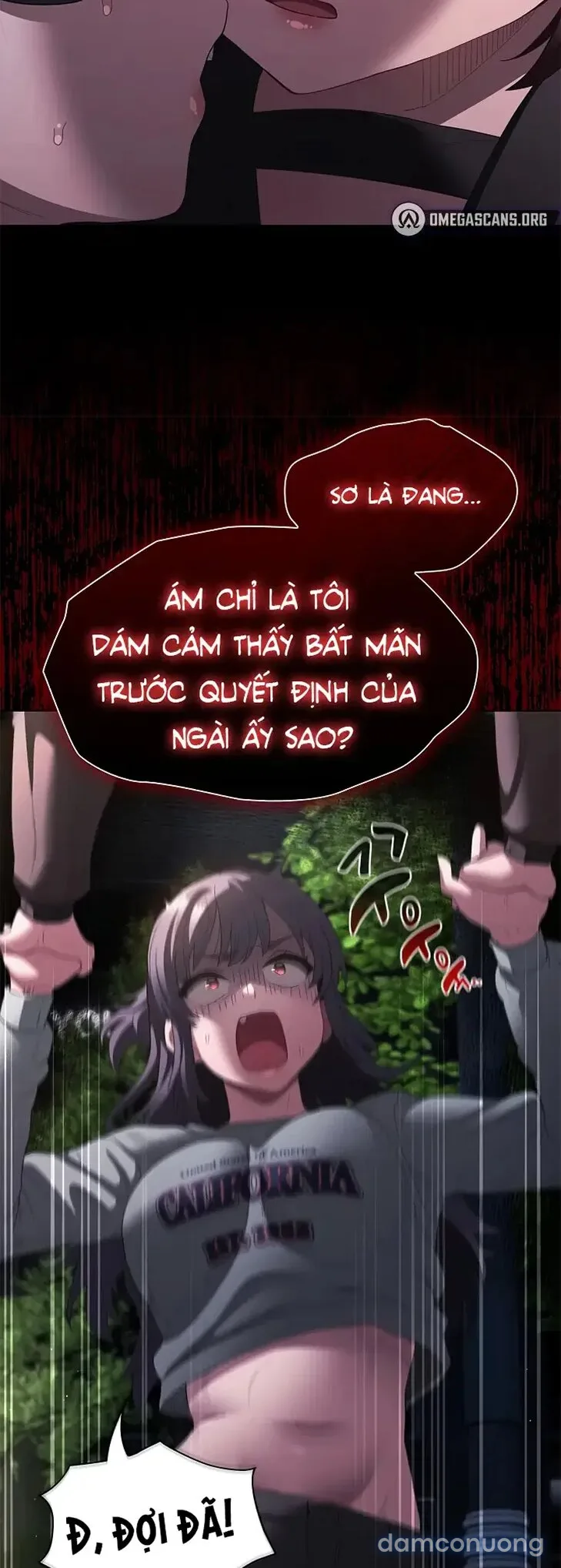 Giáo Hội Tin Là Được 