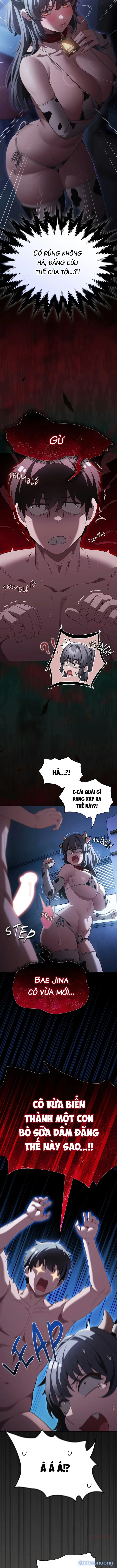 Giáo Hội Tin Là Được 