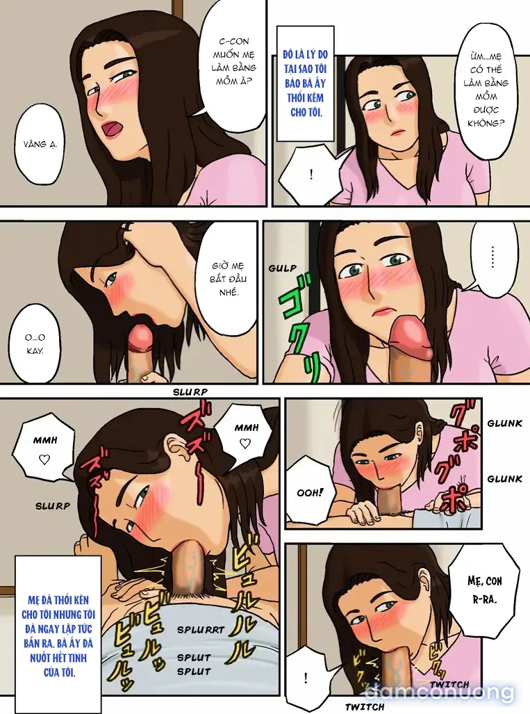 Boshi Soukan no Kiroku -- Record of Mother and Son Adultery 