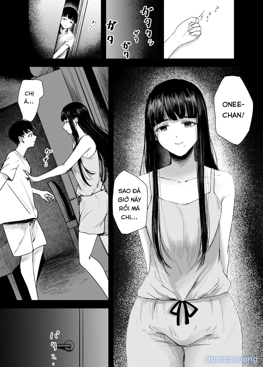 The Honor Student’s Rebellious Phase 