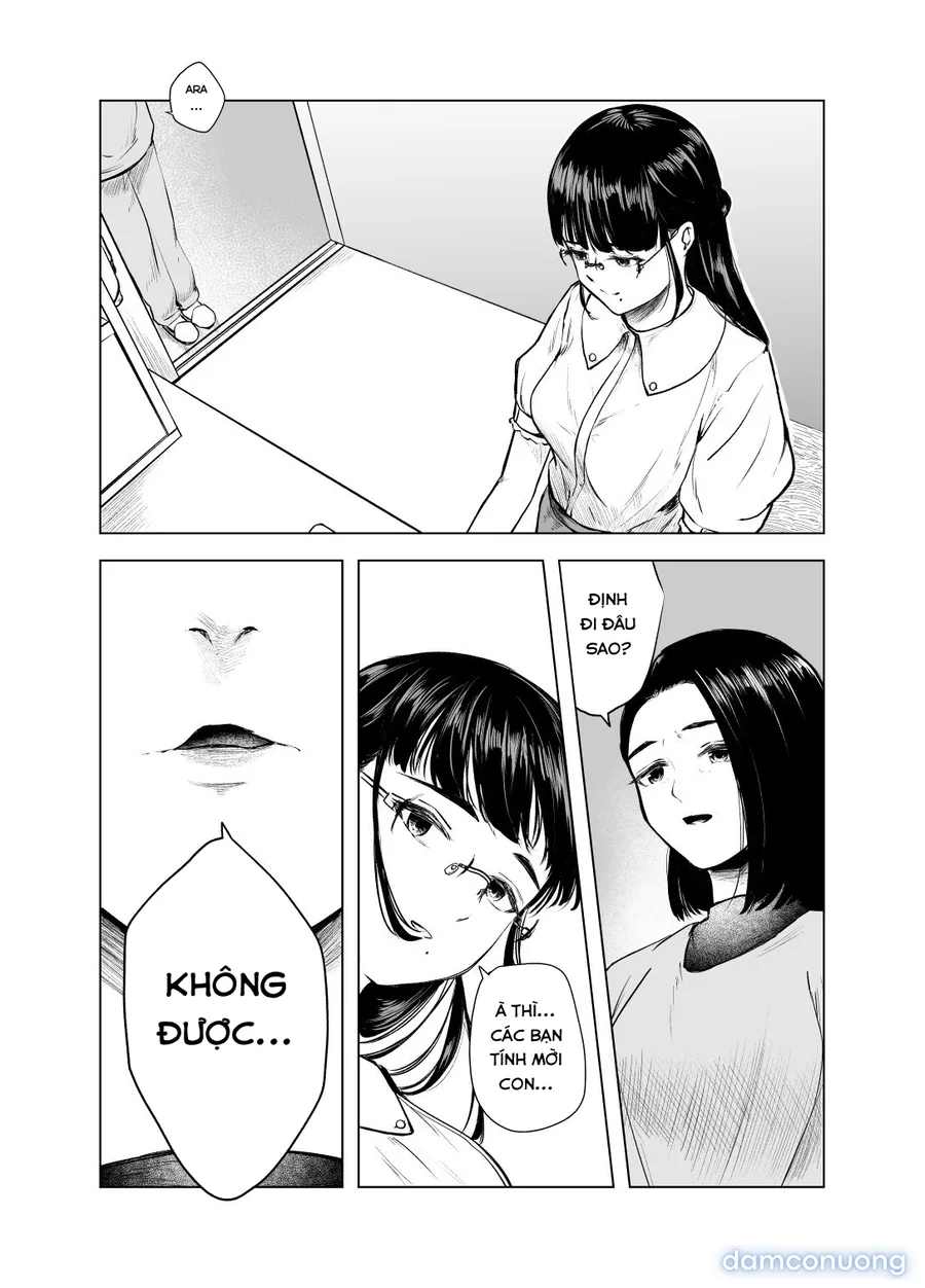 The Honor Student’s Rebellious Phase 