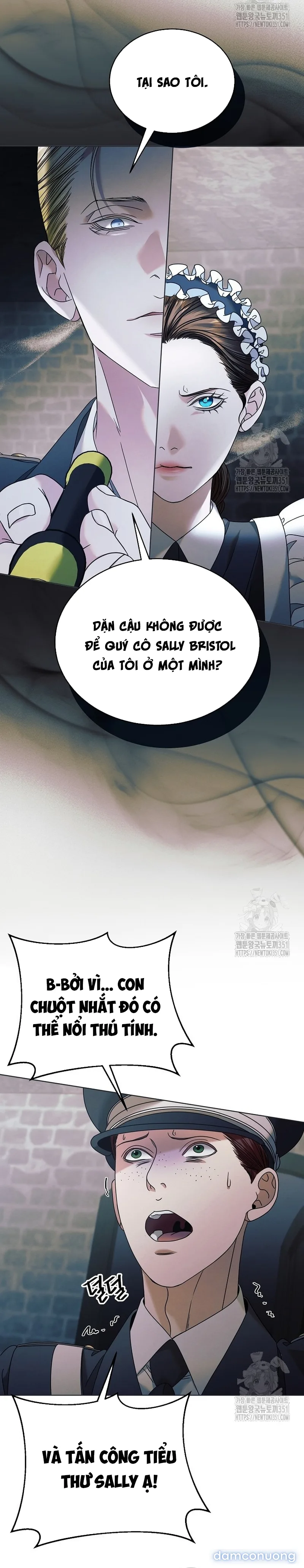 Hãy Cầu Xin Ta Đi 