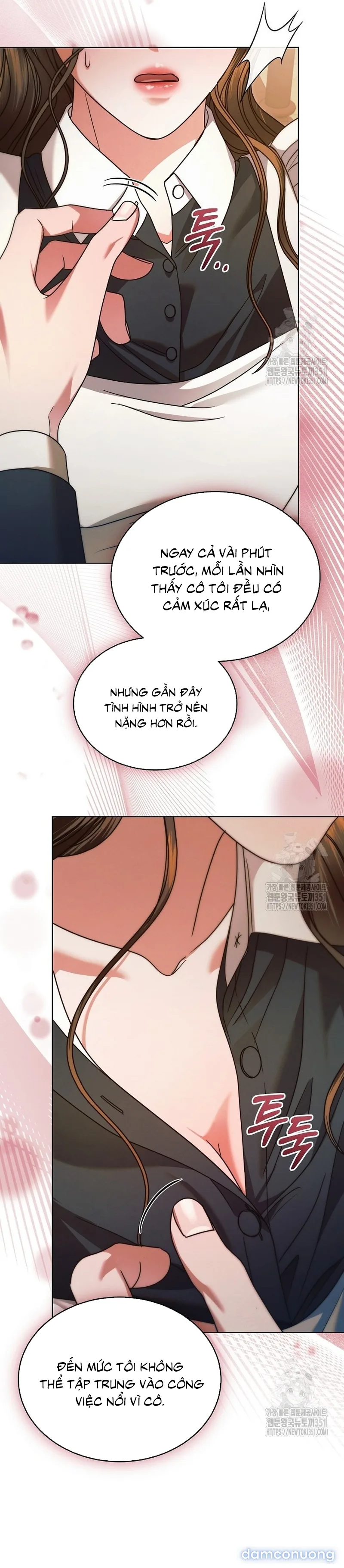 Hãy Cầu Xin Ta Đi 