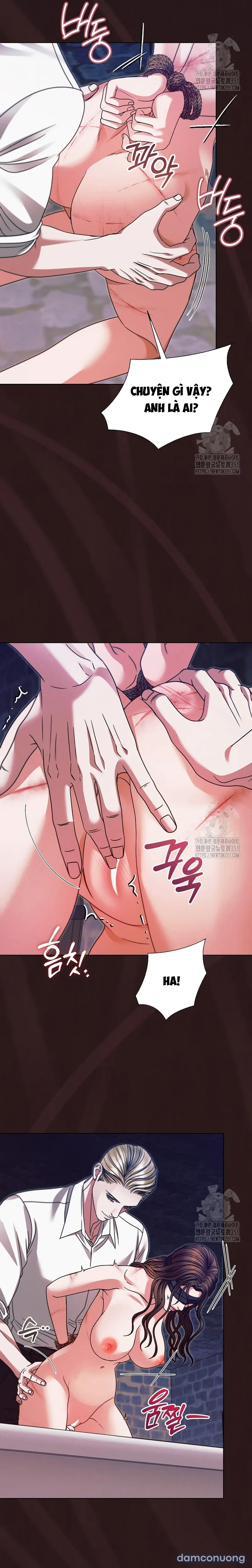 Hãy Cầu Xin Ta Đi 