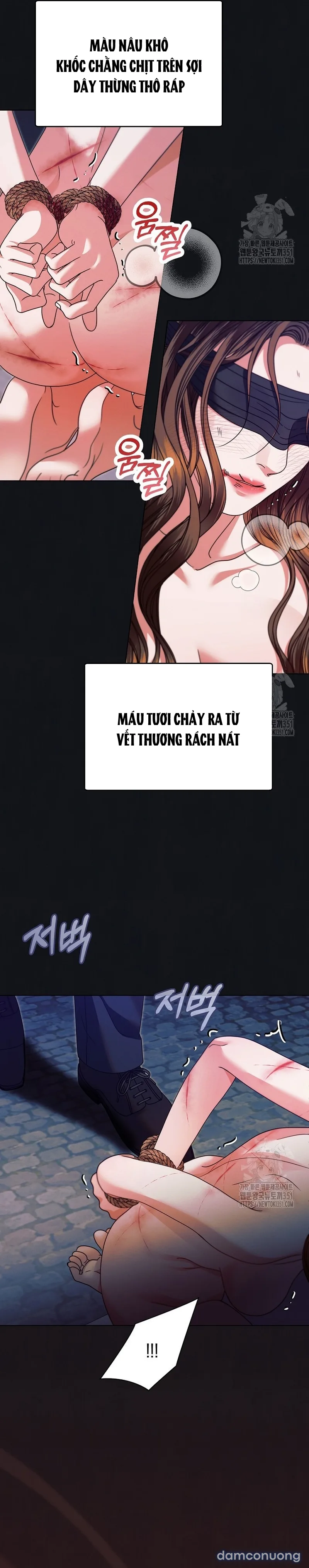 Hãy Cầu Xin Ta Đi 
