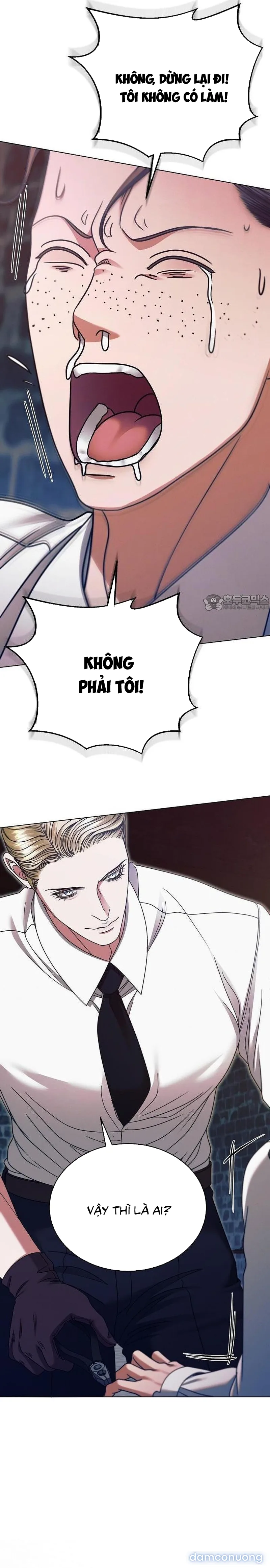 Hãy Cầu Xin Ta Đi 