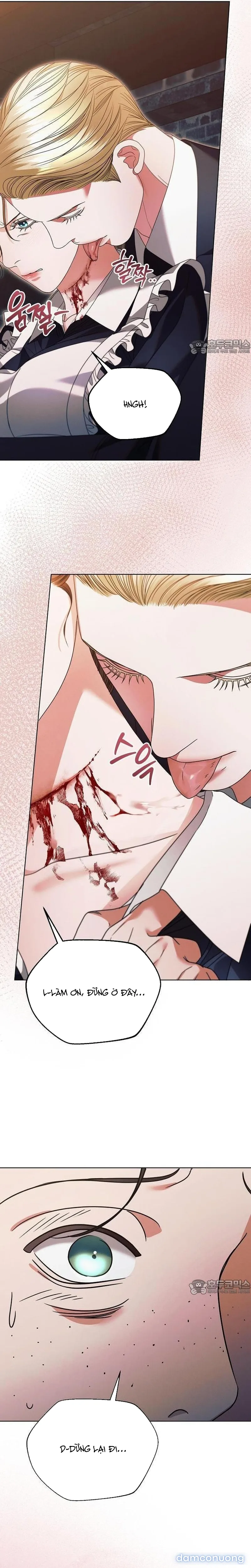 Hãy Cầu Xin Ta Đi 