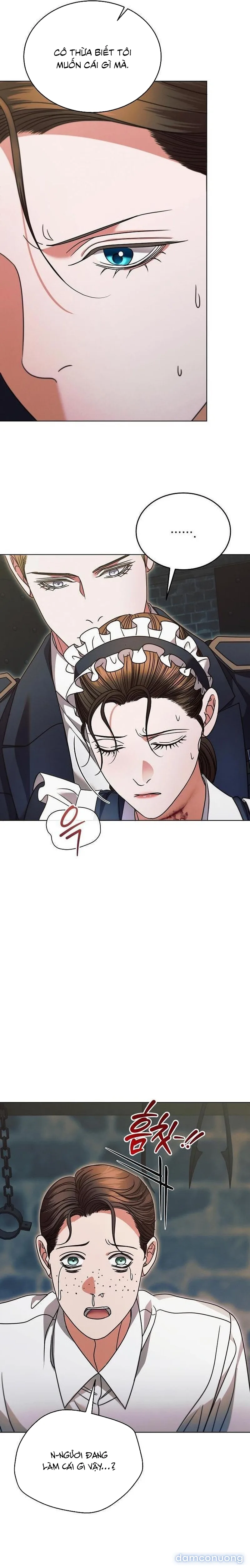 Hãy Cầu Xin Ta Đi 