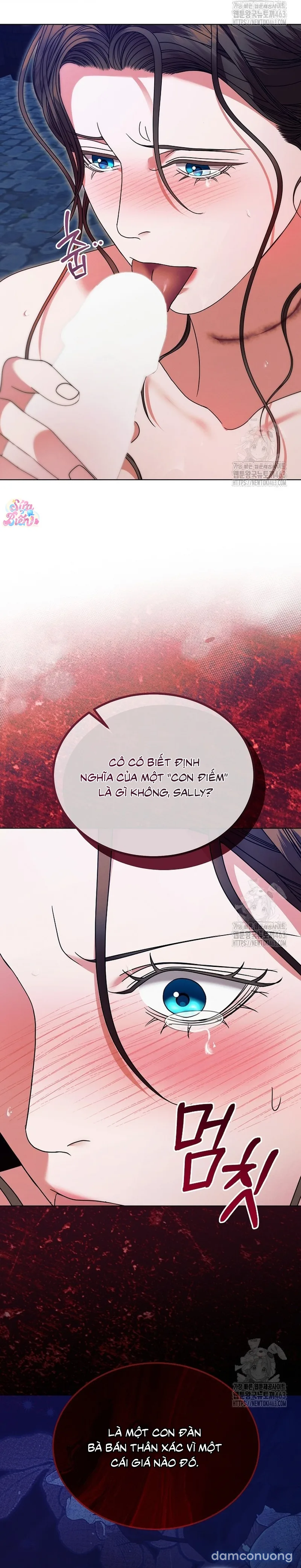 Hãy Cầu Xin Ta Đi 