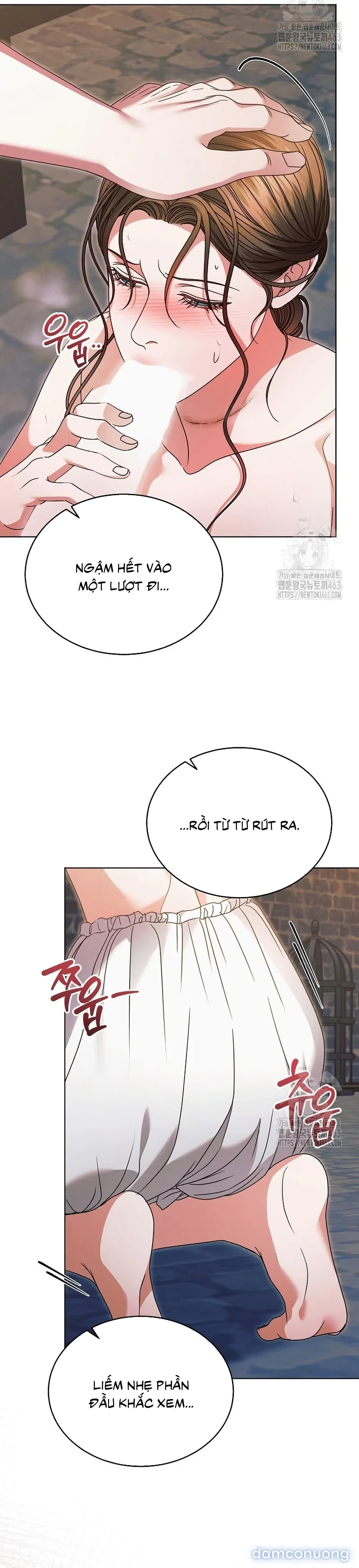 Hãy Cầu Xin Ta Đi 