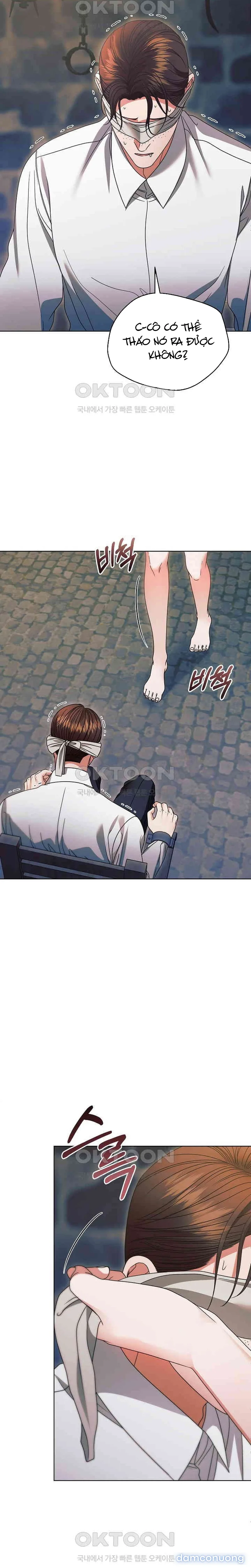 Hãy Cầu Xin Ta Đi 