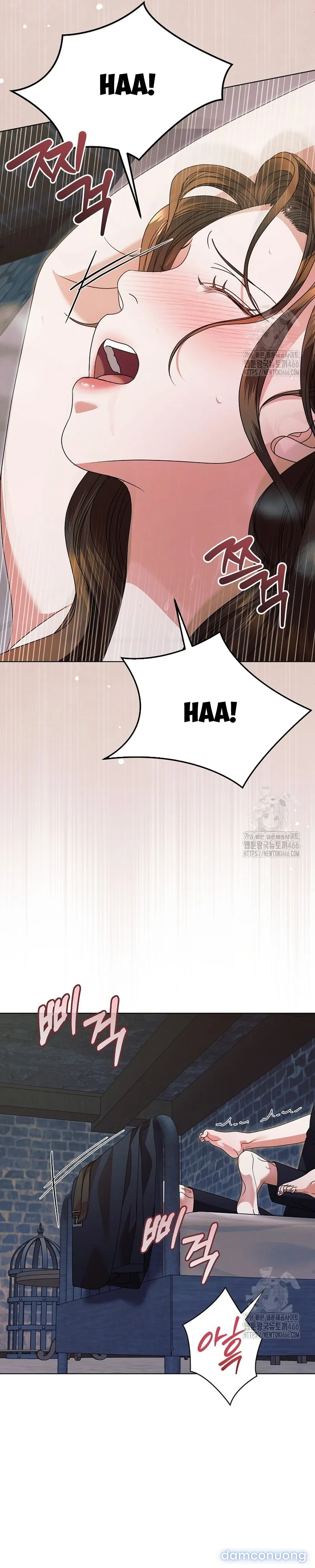 Hãy Cầu Xin Ta Đi 