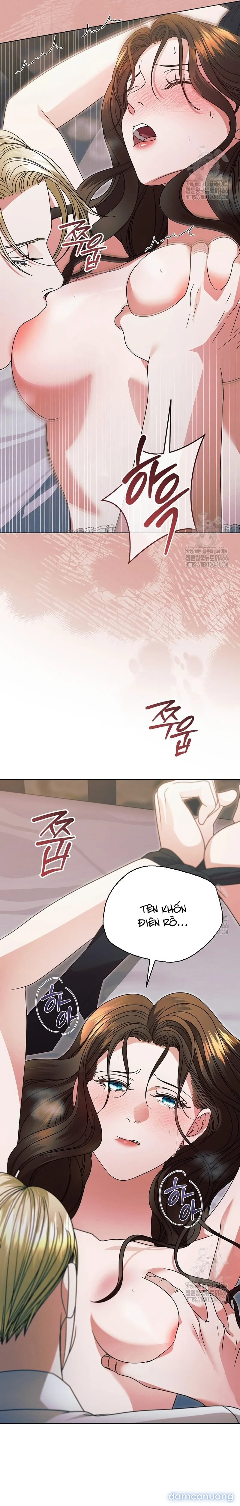 Hãy Cầu Xin Ta Đi 